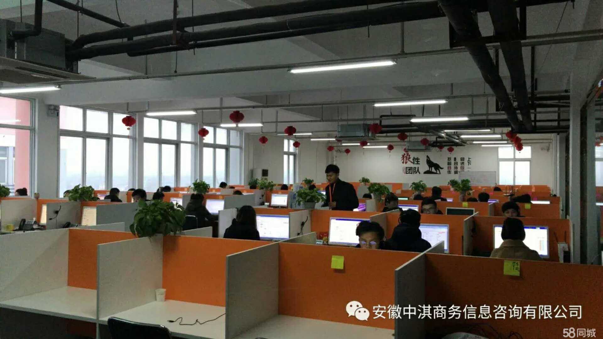 专业赋能，智慧同行——安徽中淇商务信息咨询服务解析