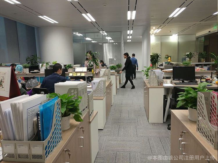 甬邦宁商务咨询 企业发展的智慧航标